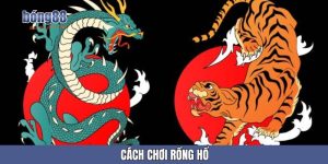 Cách Chơi Rồng Hổ Cực Đỉnh, Bất Bại Từ Bậc Thầy Bong88