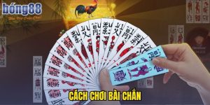 Cách Chơi Bài Chắn Dễ Hiểu Và Chuẩn Xác Cùng BONG88